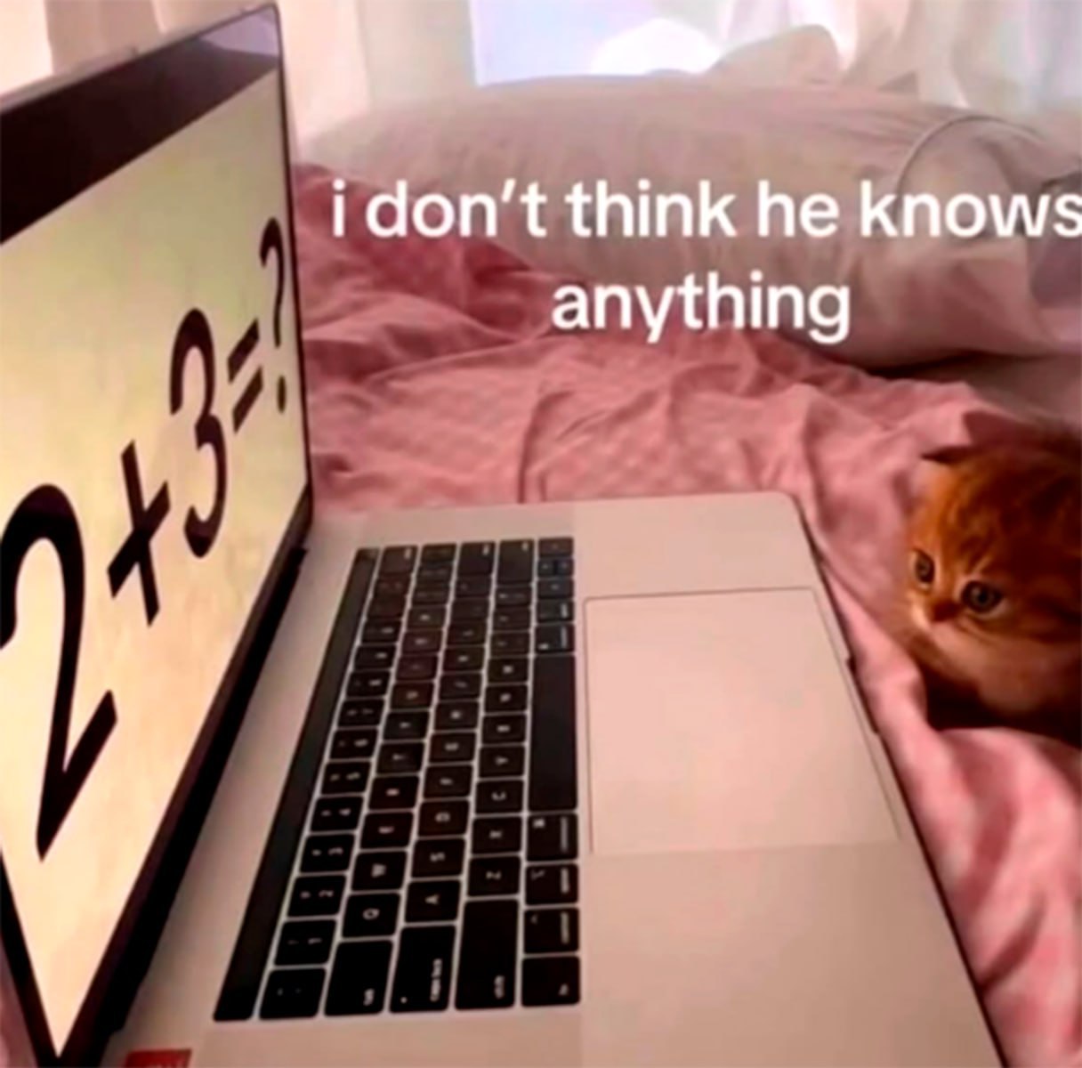 i don’t think he knows anything
