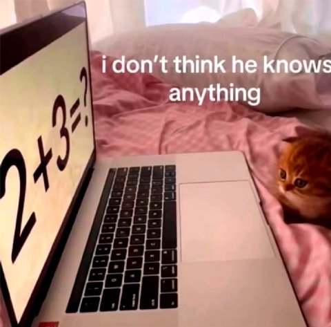 i don’t think he knows anything