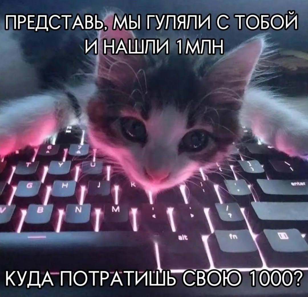 ПРЕДСТАВЬ, МЫ ГУПЯЛИ С ТОБОИ И НАШЛИ 1МЛН КУДА ПОТРАТИШЬ СВОЮ 1000?