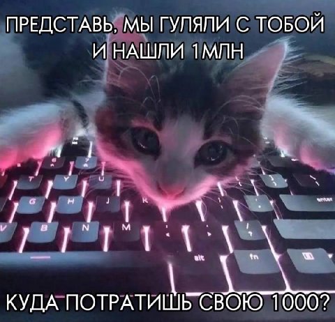ПРЕДСТАВЬ, МЫ ГУПЯЛИ С ТОБОИ И НАШЛИ 1МЛН КУДА ПОТРАТИШЬ СВОЮ 1000?