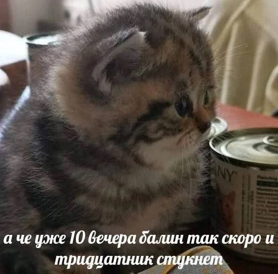 а че уже 10 вечера балин так скоро и тридиатник стукнет