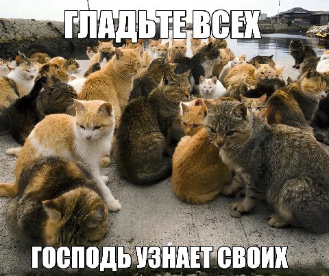 ГОСПОДЬ УЗНАЕТ СВОИХ