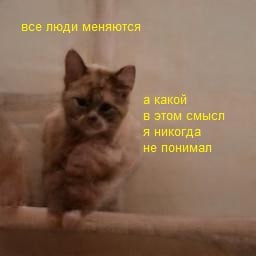 все люди меняются а какой в этом смысл я никогда не понимап