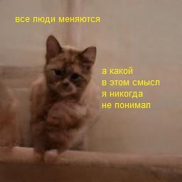 все люди меняются а какой в этом смысл я никогда не понимап
