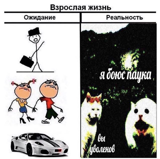 Взрослая жизнь Ожидание Реальность