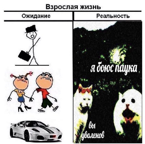 Взрослая жизнь Ожидание Реальность