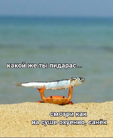 какой же ты пидарас... ger отри как на С уше у. енн A