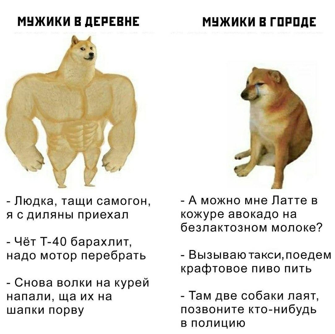 МУЖИКИ В ДЕРЕВНЕ МУЖИКИ В ГОРОДЕ Людка, тащи самогон, А можно мне Латте в я сдиляны приехал кожуре авокадо на безлактозном молоке? Чёт барахлит, надо мотор перебрать Вызываю такси, поедем крафтовое пи