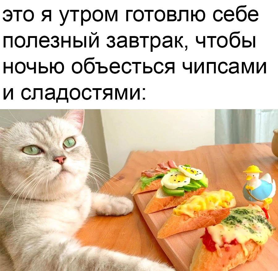 это я утром готовлю себе полезный завтрак, чтобы ночью объесться чипсами и сладостями: