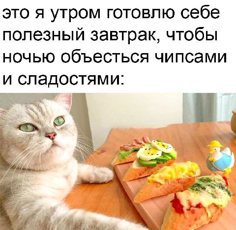 это я утром готовлю себе полезный завтрак, чтобы ночью объесться чипсами и сладостями: