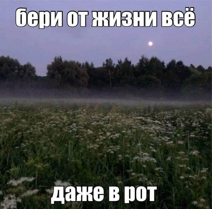 бери от жизни всё даже в рот
