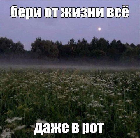 бери от жизни всё даже в рот