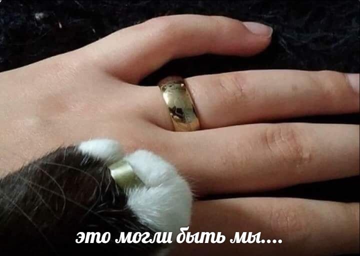 это могли быть мы....
