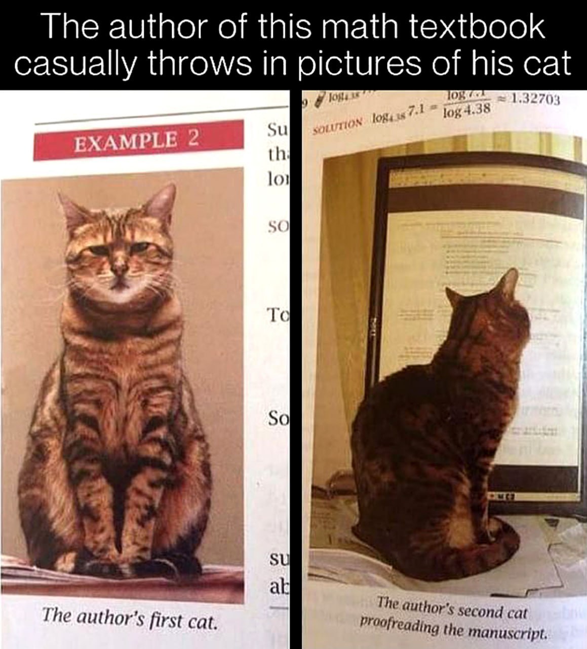 The author of this math textbook casually throws in pictures of his cat 1.32703 084.35 lol 4 To So я у The firs The author's second cat first cat. the manuscript.