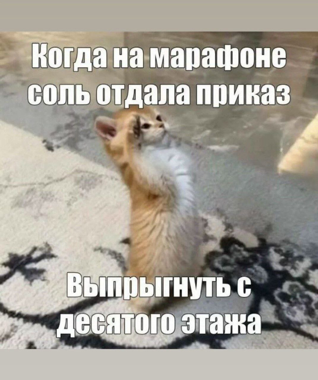 марафоне соль отдала приказ и С десятого этажа