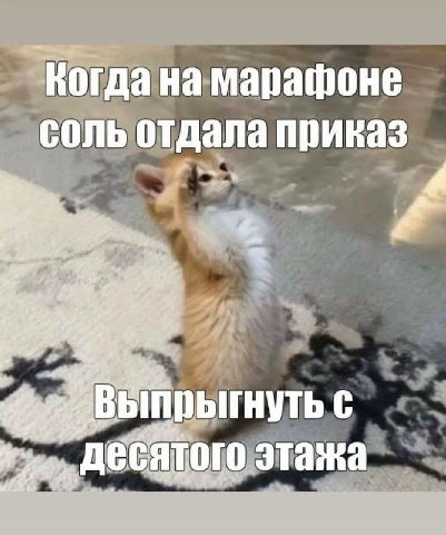 марафоне соль отдала приказ и С десятого этажа