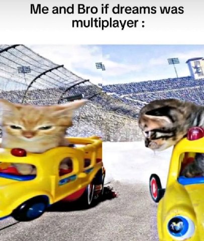 Me and Bro if dreams was multiplayer