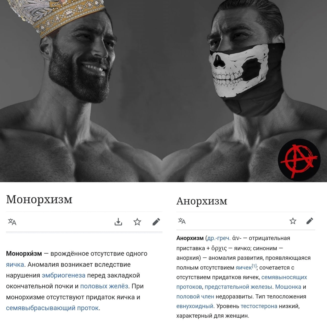 Монорхизм Анорхизм А Анорхизм (др.-греч. отрицательная приставка яичко; синоним Монорхизм врождённое отсутствие одного анорхия) аномалия развития, проявляющаяся яичка. Аномалия возникает вследствие по