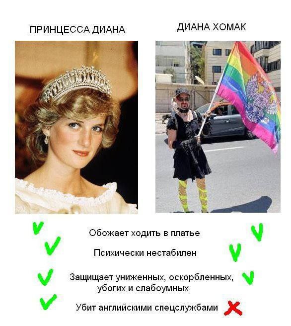 ПРИНЦЕССА ДИАНА ДИАНА ХОМАК у Обожает ходить в платье у Психически нестабилен Защищает униженных, оскорбленных, убогих и слабоумных Убит английскими спецслужбами