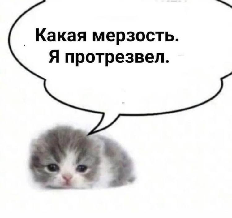 Какая мерзость. Я протрезвел.