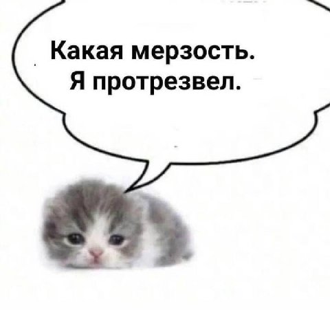 Какая мерзость. Я протрезвел.