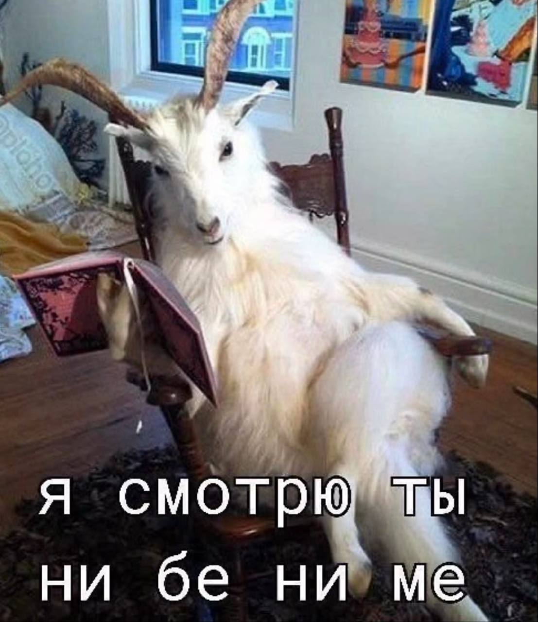 A смотрю ни ни