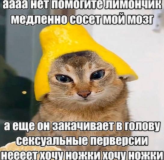 аещеон перверсии