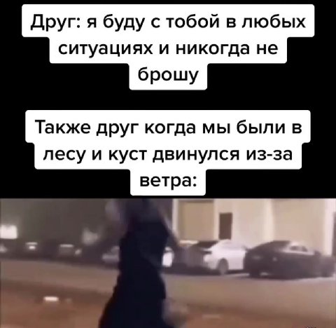 Друг: я буду с тобой в любых ситуациях и никогда не Также друг когда мы были в лесу и куст двинулся из-за