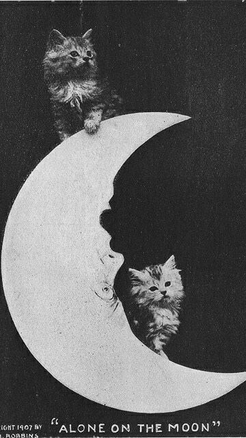 ROABINS 1907 “ALONE ON THE MOON”