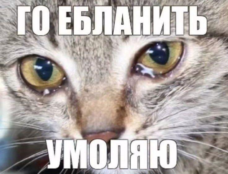i 4 4 3 mat 7 я 4 3