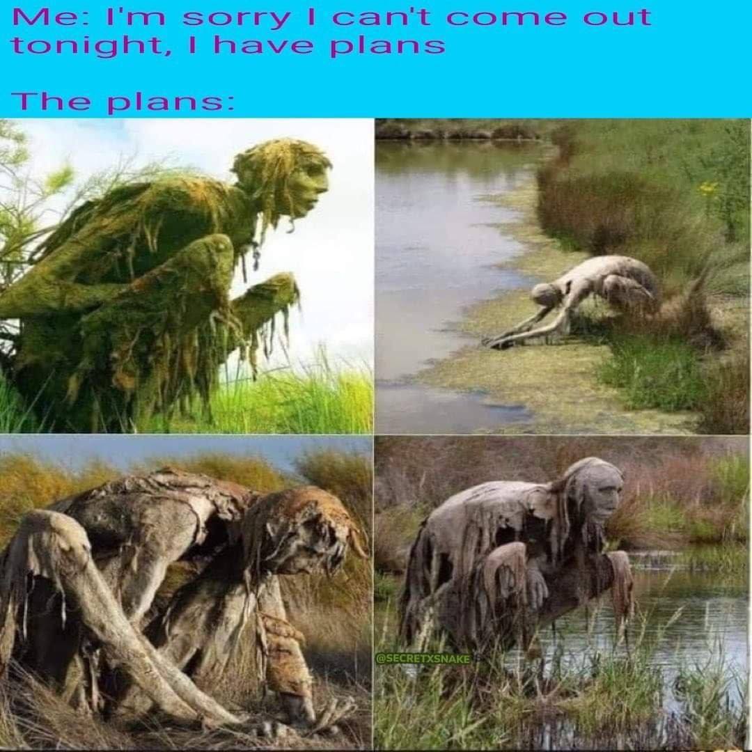 Me: sorry can't Come out tonight, |have plans The plans: of 2