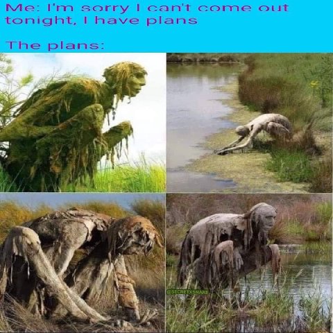 Me: sorry can't Come out tonight, |have plans The plans: of 2
