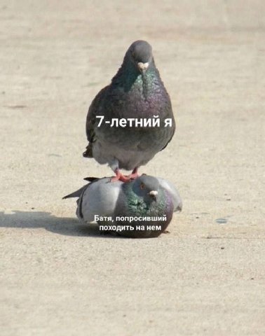 7-летний я _Батя, попросивший походить нанем