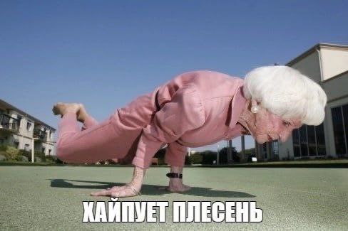 КАЙПУЕТ ПЛЕСЕНЬ