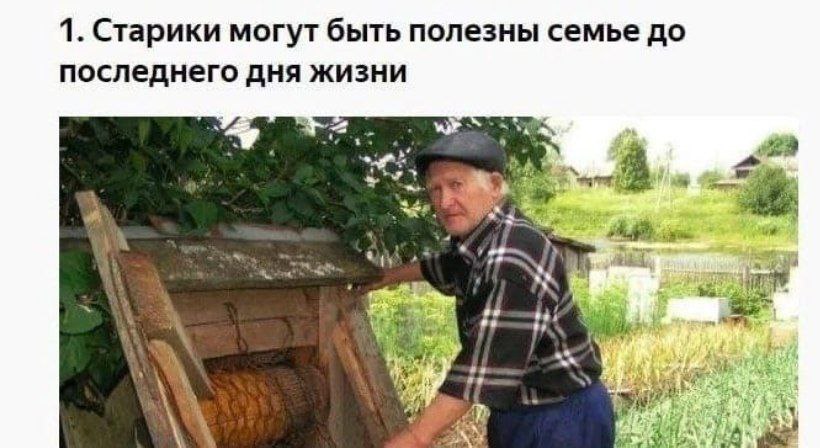1. Старики могут быть полезны семье до последнего дня жизни 4 we 4 bis a