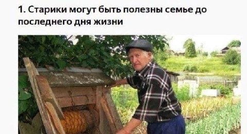 1. Старики могут быть полезны семье до последнего дня жизни 4 we 4 bis a