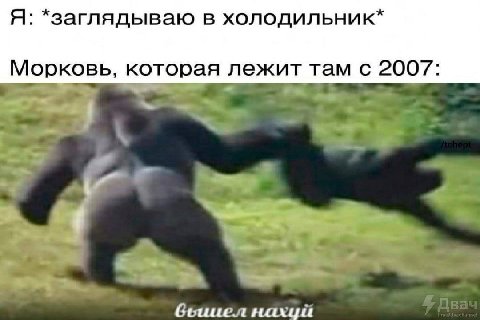 Я: *заглядываю в холодильник* Морковь, которая лежит там с 2007: 4 нахуй