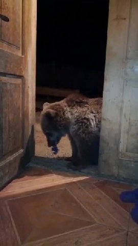 мем