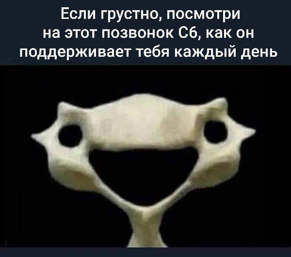 Если грустно, посмотри на этот позвонок С6, как он поддерживает тебя каждый день