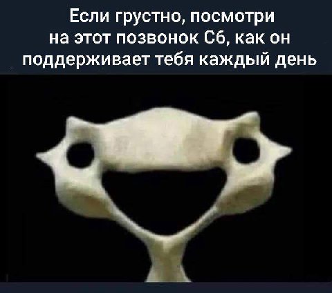 Если грустно, посмотри на этот позвонок С6, как он поддерживает тебя каждый день