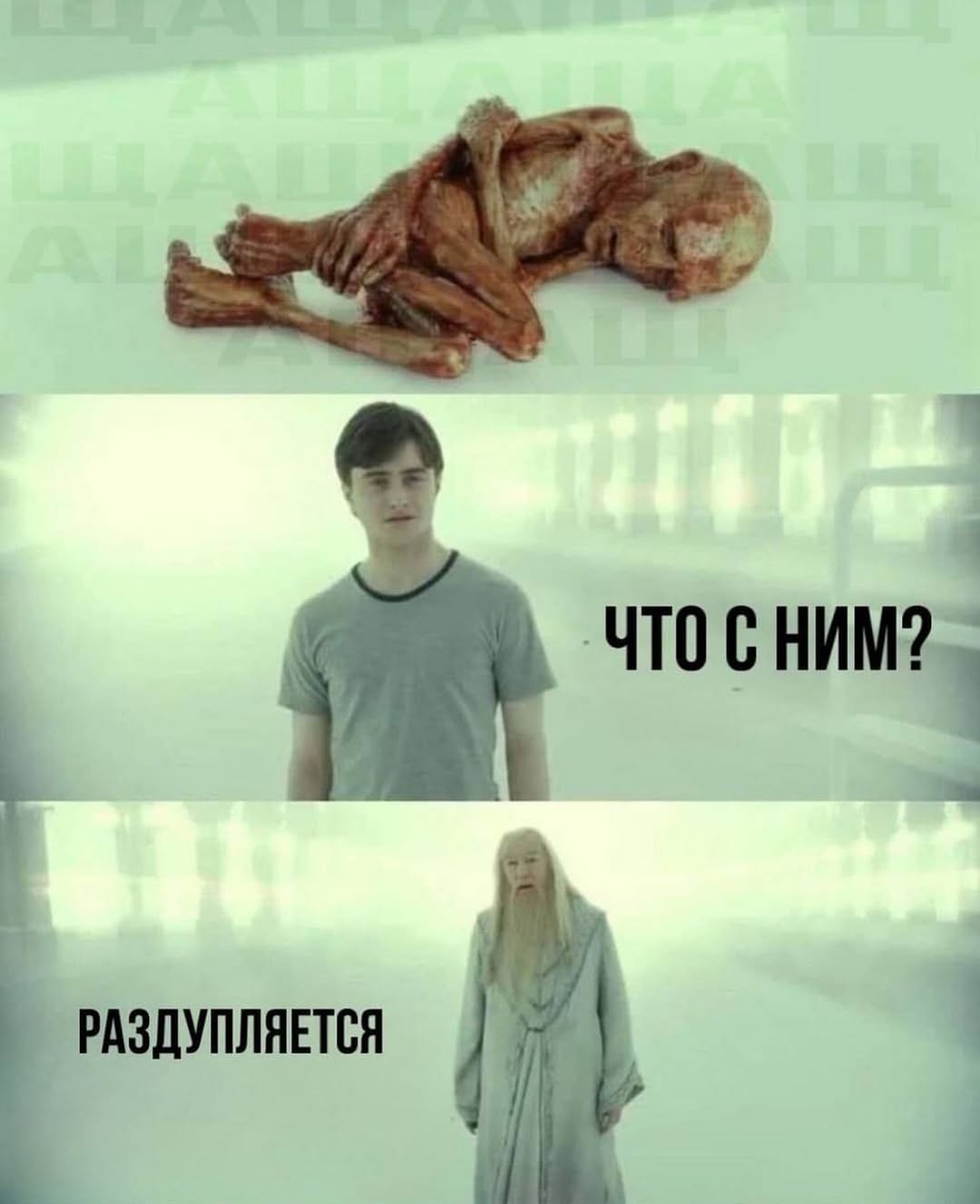 РАЗДУПЛЯЕТСЯ