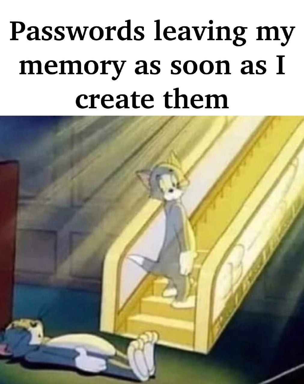 Passwords leaving memory as soon as I create у