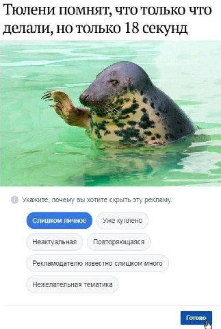 Тюлени помнят, что только что делали, но только 18 секунд у Укажите, почему вы хотите скрыть эту рекламу Неактуальная Повторяющаяся Рекламодателю известно слишком много Нежелательная тематика