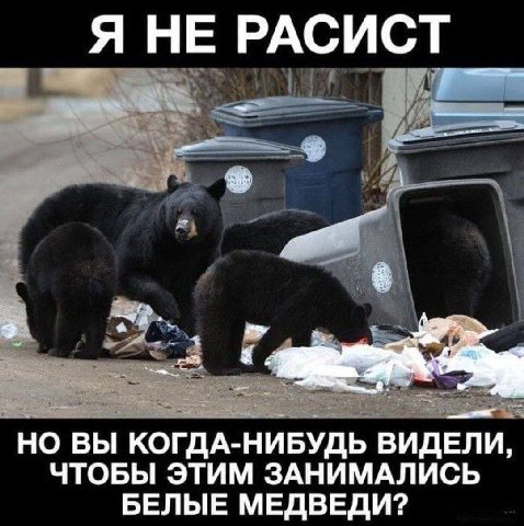 Я НЕ РАСИСТ a НО ВЫ КОГДА-НИБУДЬ ВИДЕЛИ, ЧТОБЫ ЭТИМ ЗАНИМАЛИСЬ БЕЛЫЕ МЕДВЕДИ?