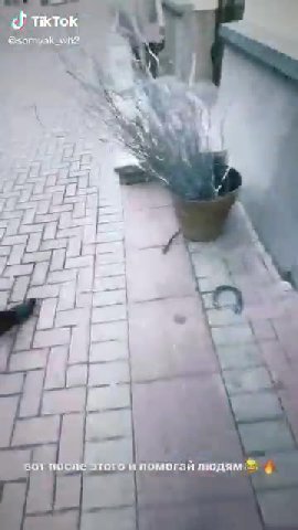 sor noc a ‚ помогай людям ® $ ото нпочы ай