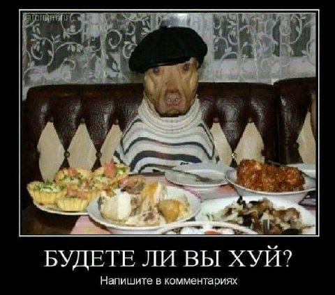БУДЕТЕ ЛИ ВЫ ХУИ? Напишите в комментариях