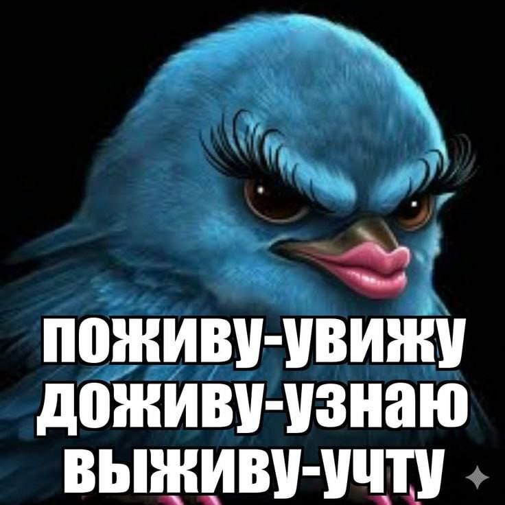 поживу-увижу доживу-узнаю выживу-учту