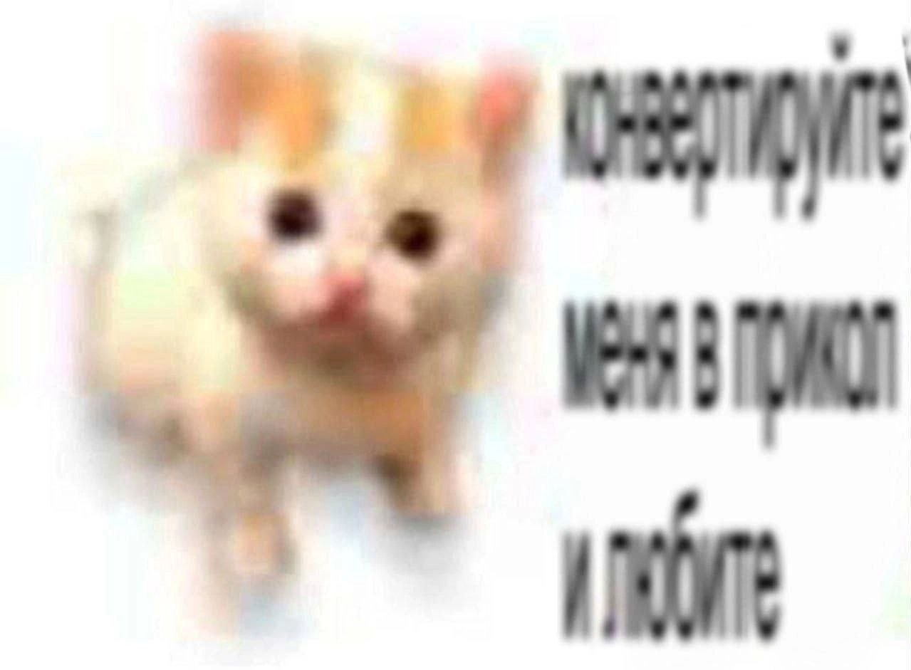 м :9 оли ve Mr inate