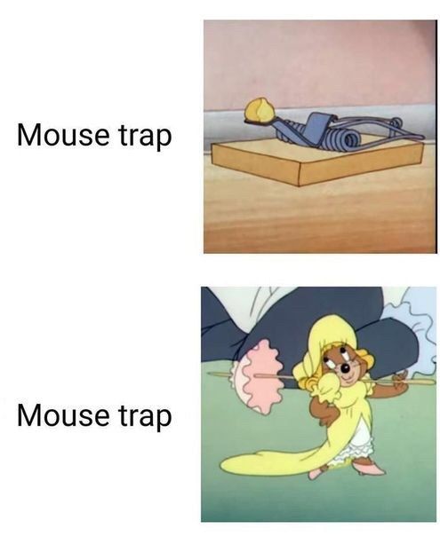 Mouse trap Mouse trap