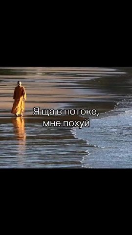 °— ЯщЩав потоке, — — ® мнепохуй Sao er Ща потоке," — See Ящаивтотоке, ==